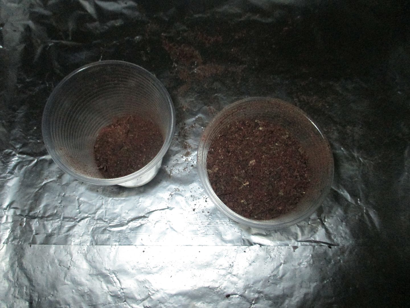 How To Make Homemade Placenta Pills AKA Placental Encapsulation